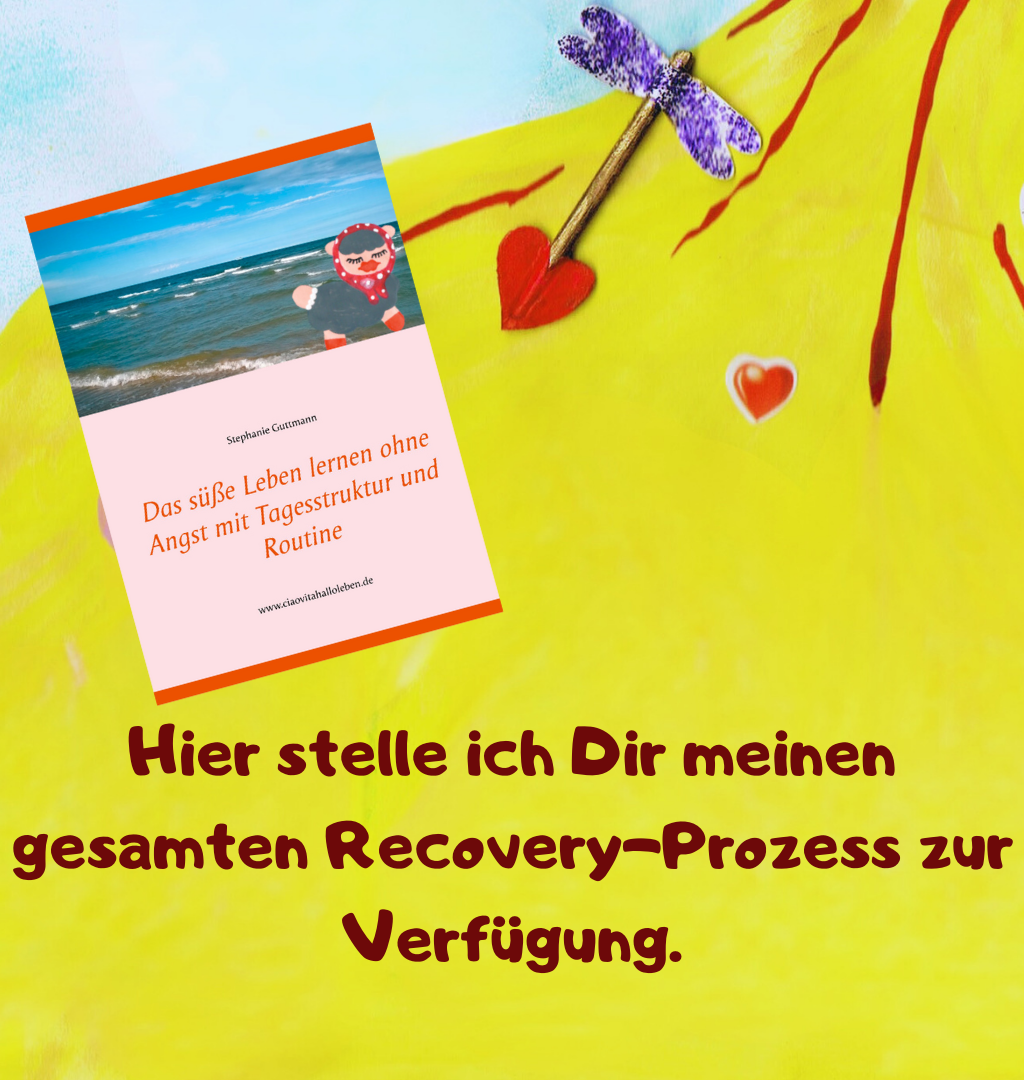 Hier stelle ich Dir meinen gesamten Recovery-Prozess zur Verfügung.