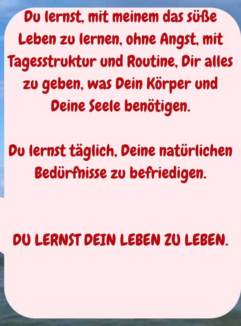 Du lernst, mit meinem das süße Leben zu lernen, ohne Angst, mit Tagesstruktur und Routine, Dir alles zu geben, was Dein Körper und Deine Seele benötigen.
Du lernst täglich, Deine natürlichen Bedürfnisse zu befriedigen.
DU LERNST DEIN LEBEN ZU LEBEN.
