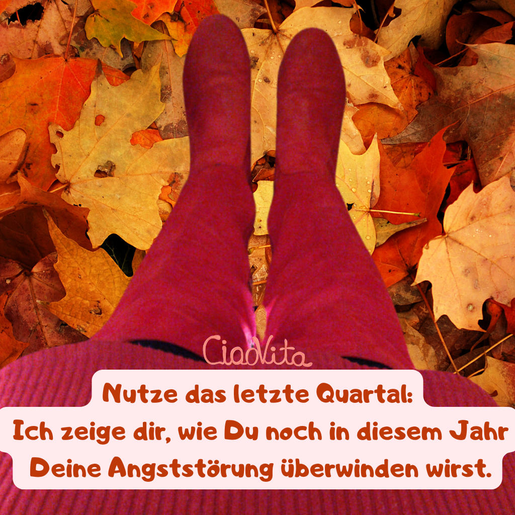 Nutze das letzte Quartal: Ich zeige Dir, wie Du noch in diesem Jahr Deine Angststörung überwinden wirst.