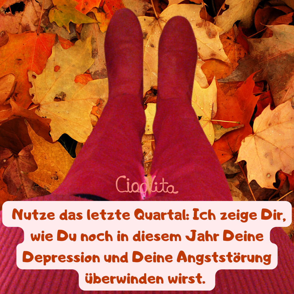 Nutze das letzte Quartal: Ich zeige Dir, wie Du noch in diesem Jahr Deine Depression und Deine Angststörung überwinden wirst. 