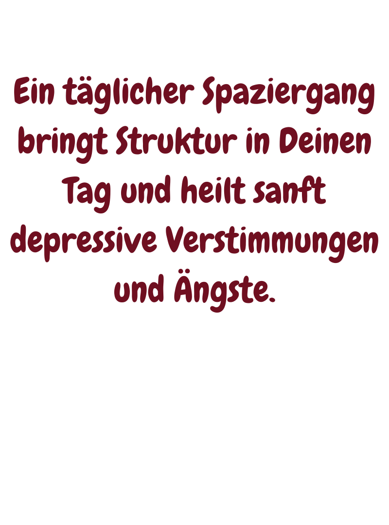 Ein täglicher Spaziergang bringt Struktur in Deinen Tag und heilt sanft depressive Verstimmungen und Ängste.