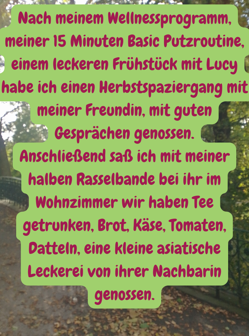 Nach meinem Wellnessprogramm, meiner 15 Minuten Basic Putzroutine, einem leckeren Frühstück mit Lucy habe ich einen Herbstspaziergang mit meiner Freundin, mit guten Gesprächen genossen.
Anschließend saß ich mit meiner halben Rasselbande bei ihr im Wohnzimmer wir haben Tee getrunken, Brot, Käse, Tomaten, Datteln, eine kleine asiatische Leckerei von ihrer Nachbarin genossen.