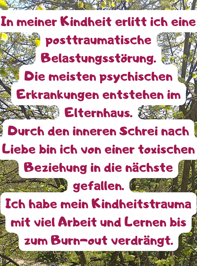 In meiner Kindheit erlitt ich eine posttraumatische Belastungsstörung.
Die meisten psychischen Erkrankungen entstehen im Elternhaus.
Durch den inneren Schrei nach Liebe bin ich von einer toxischen Beziehung in die nächste gefallen.
Ich habe mein Kindheitstrauma mit viel Arbeit und Lernen bis zum Burn-out verdrängt.