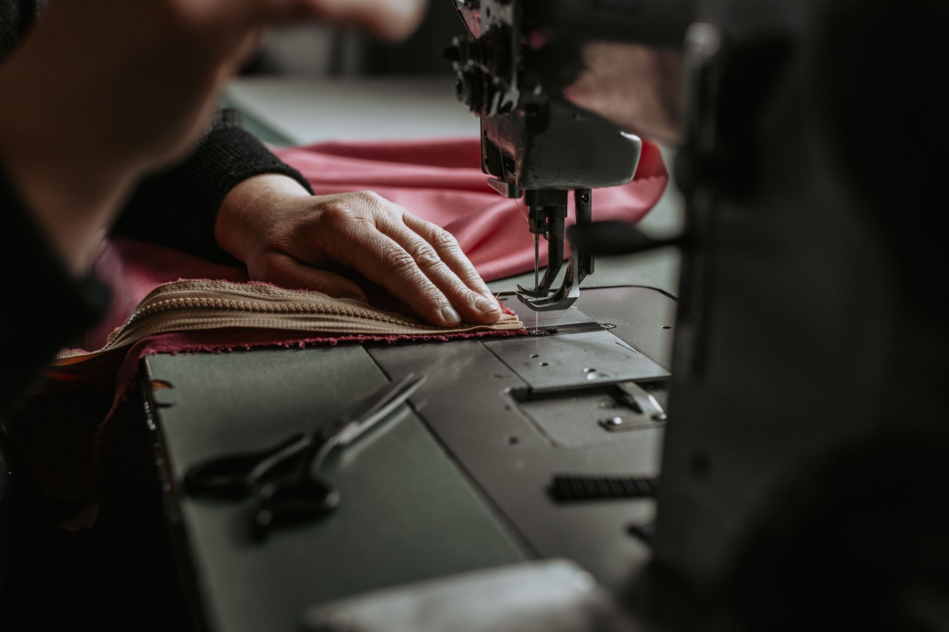 affordable horse gear online