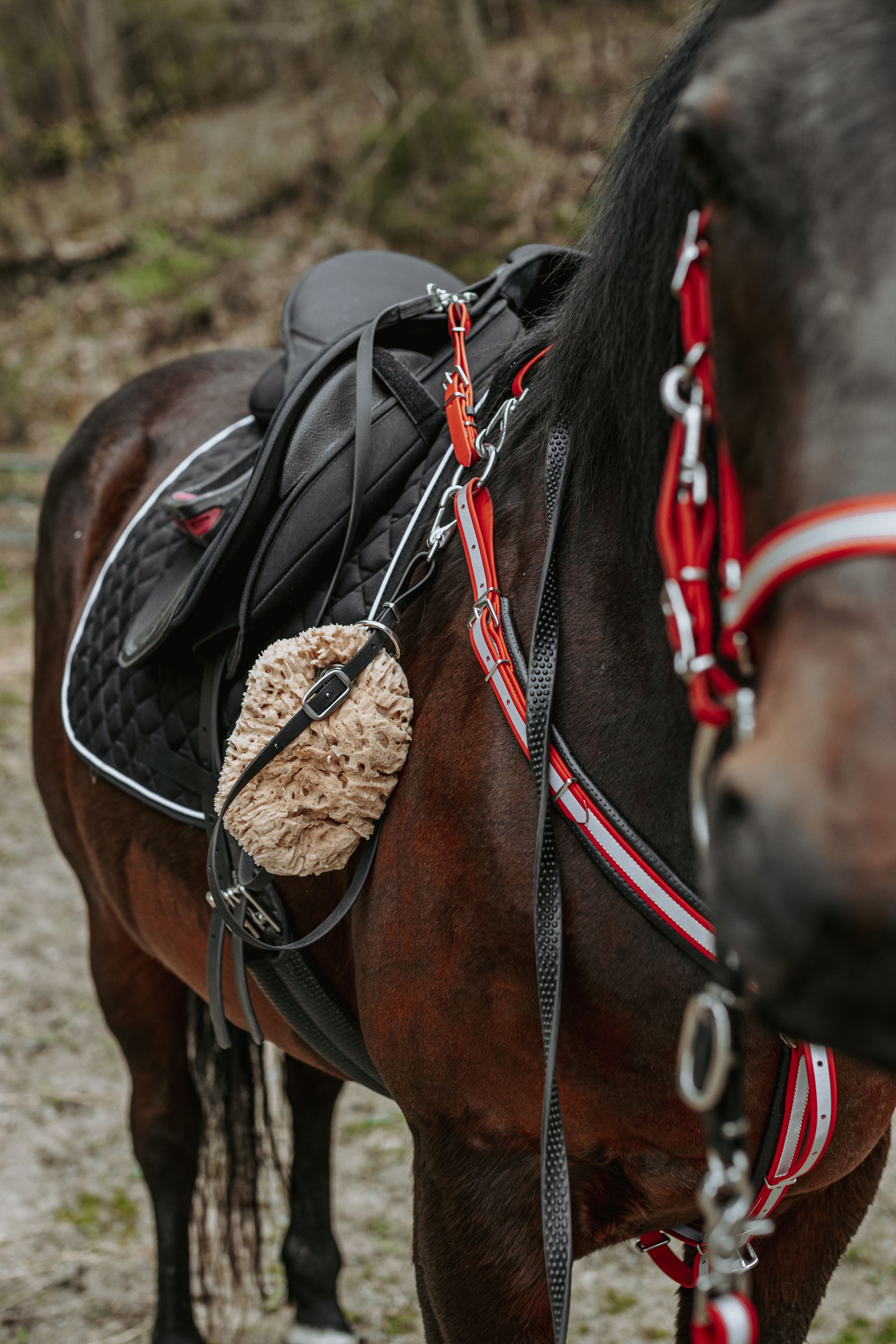 Amish-made horse gear