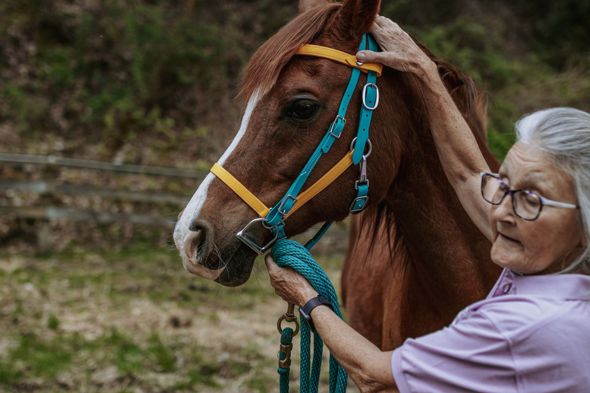 horse riding tackle online side pull bridle