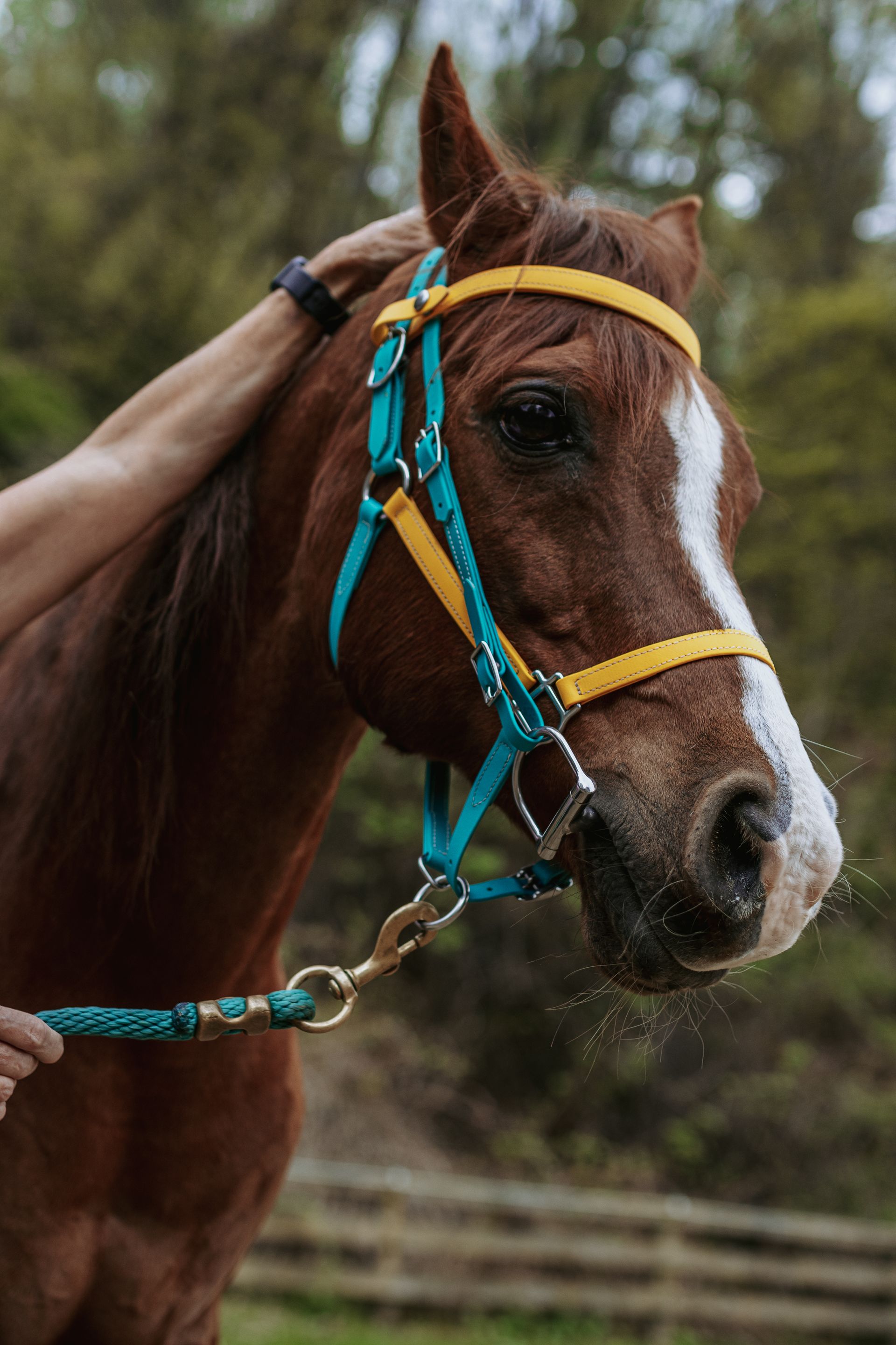 horse tack pa