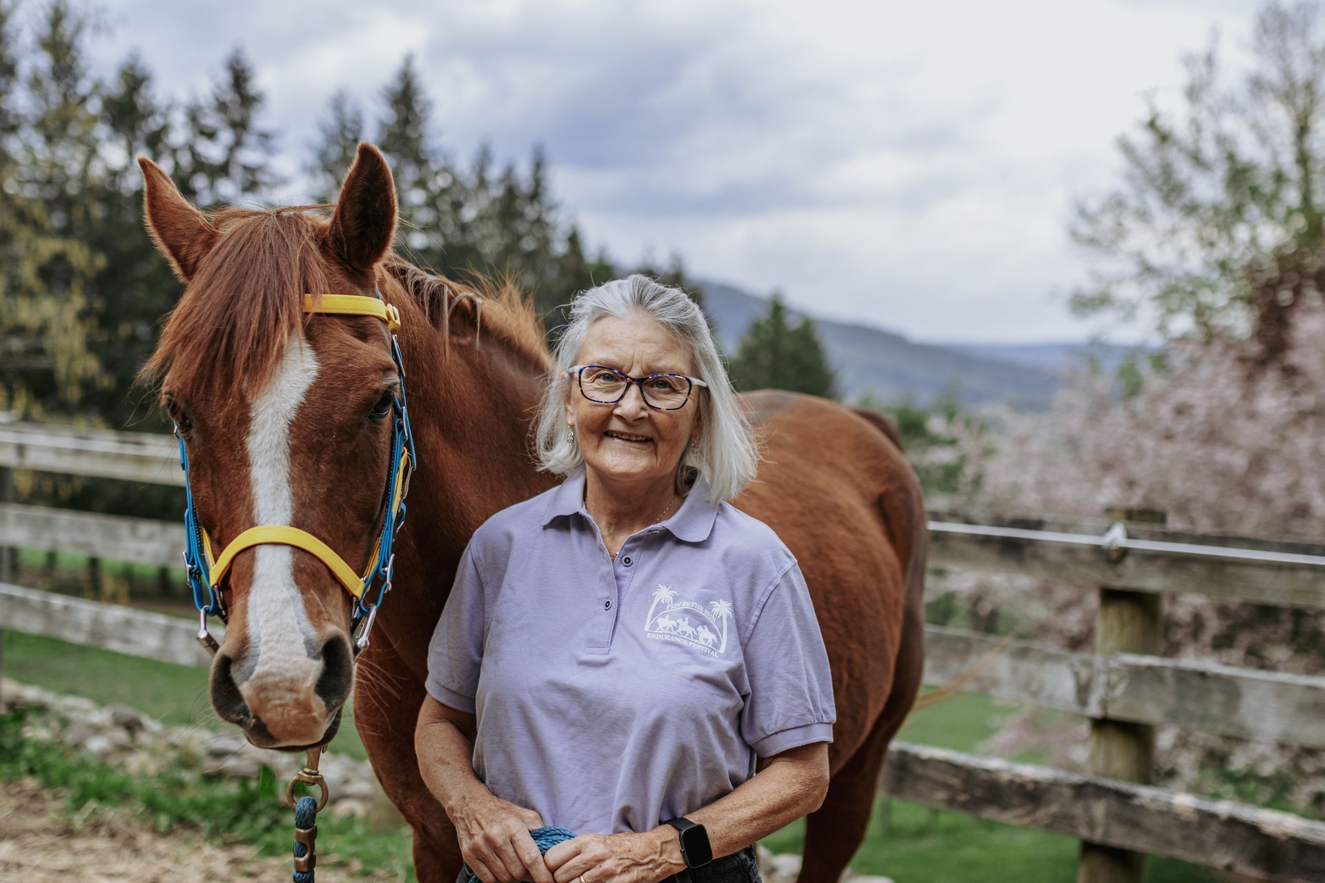 halter western tack pennsylvania