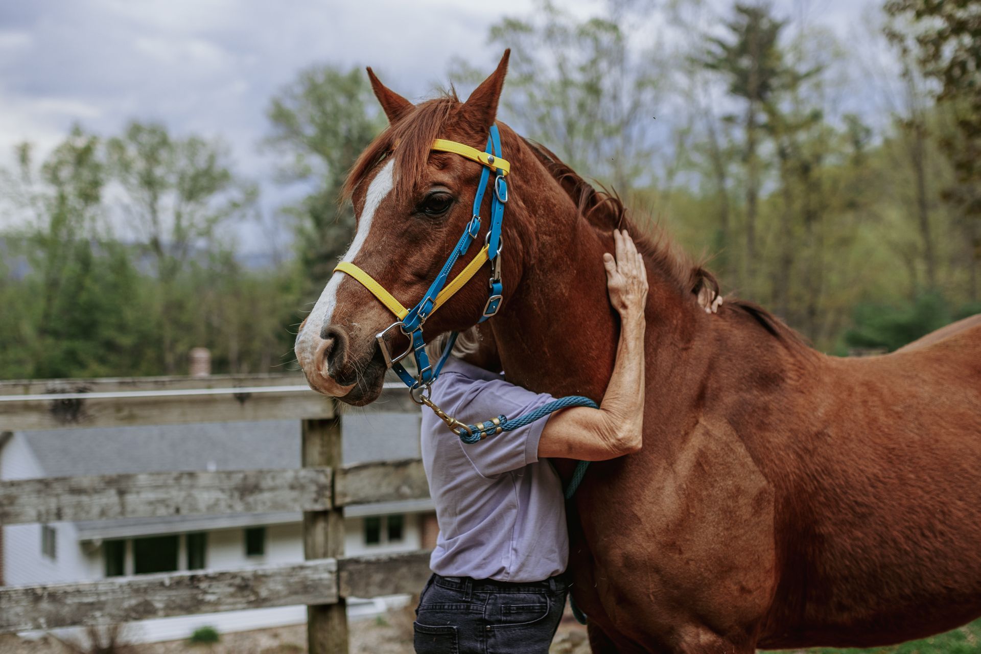 horseriding tackle pa