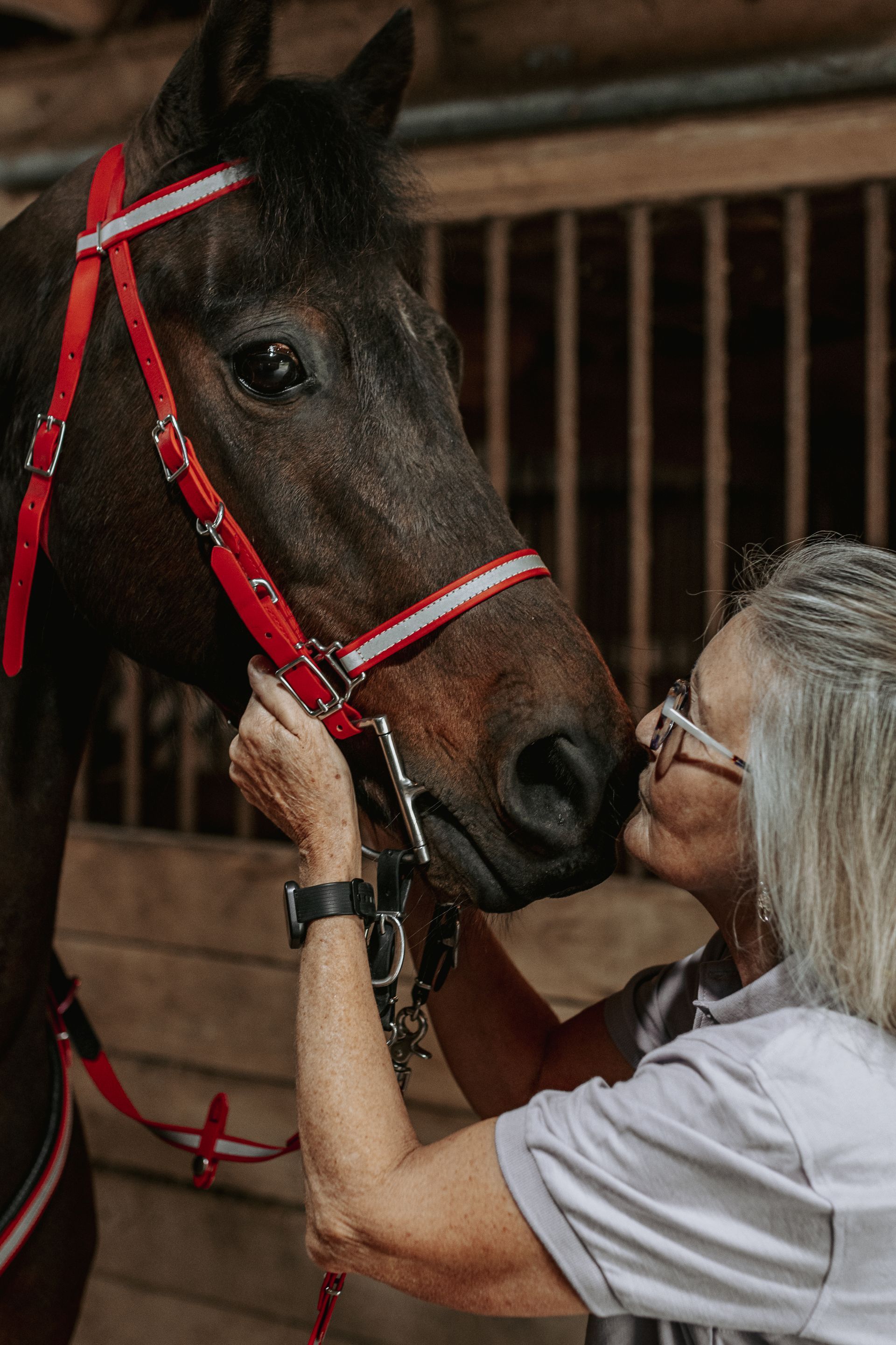 custom horse gear pennsylvania