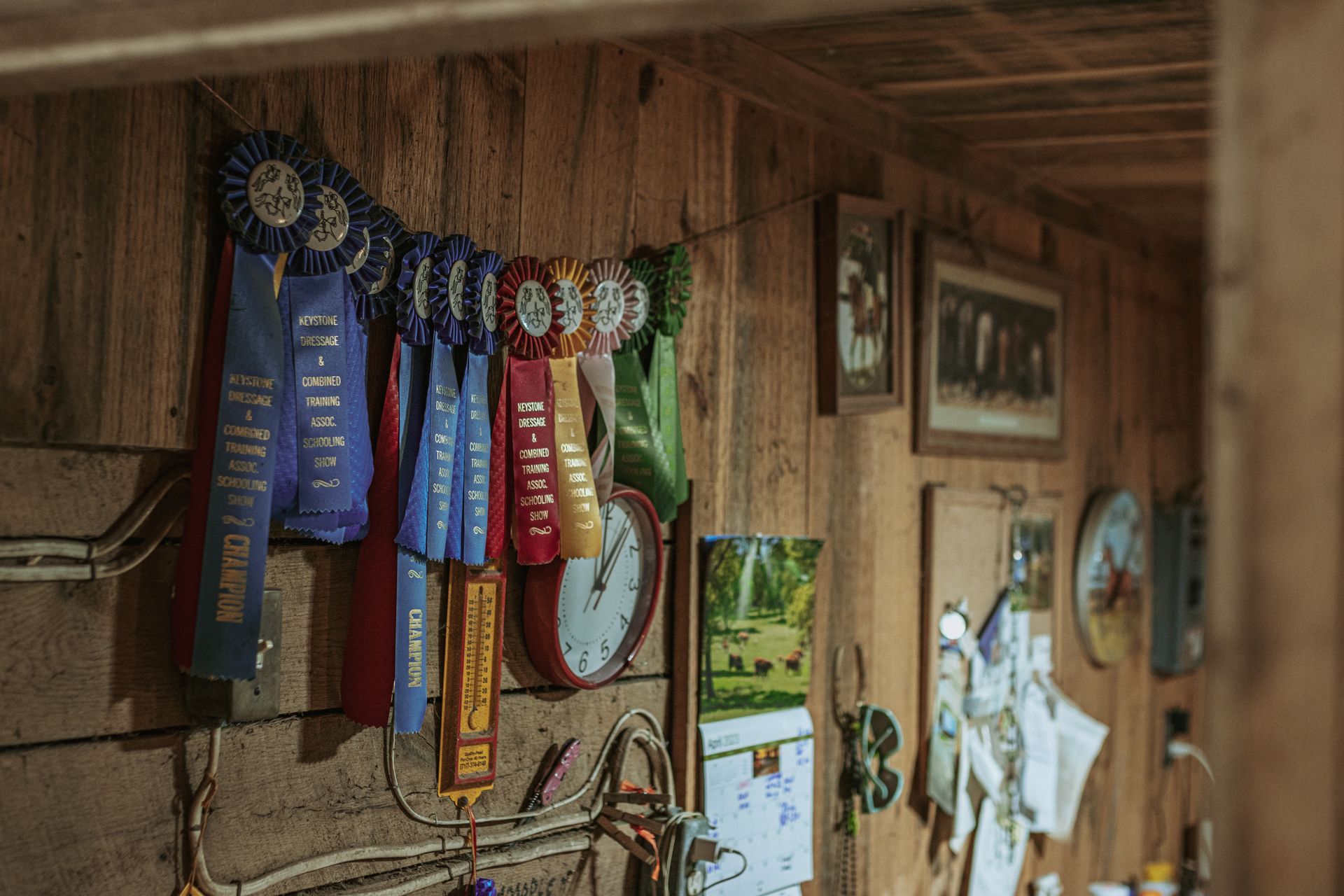 horse gear for sale online