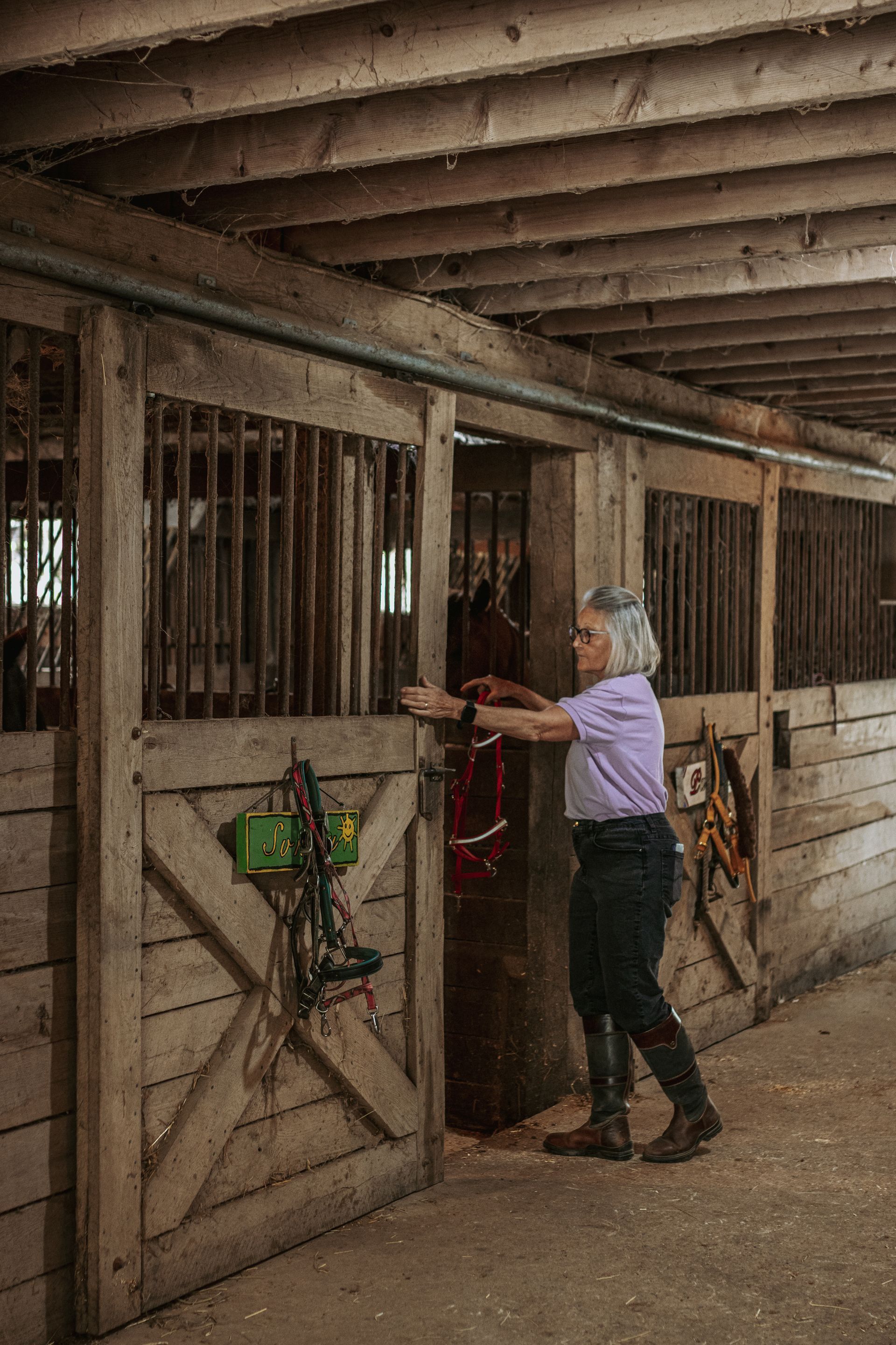 horse riding tackle online