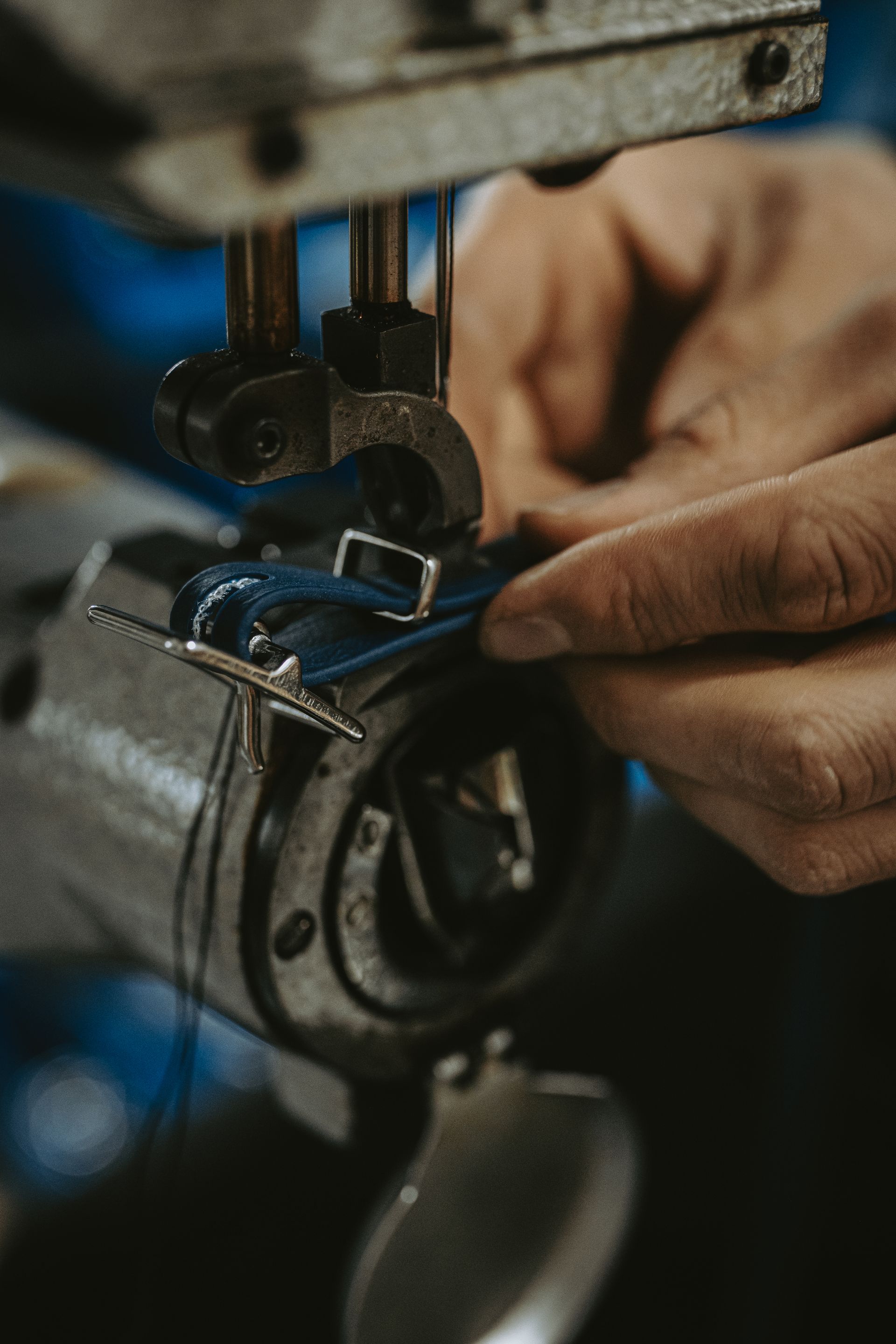 high tie  riding equipment