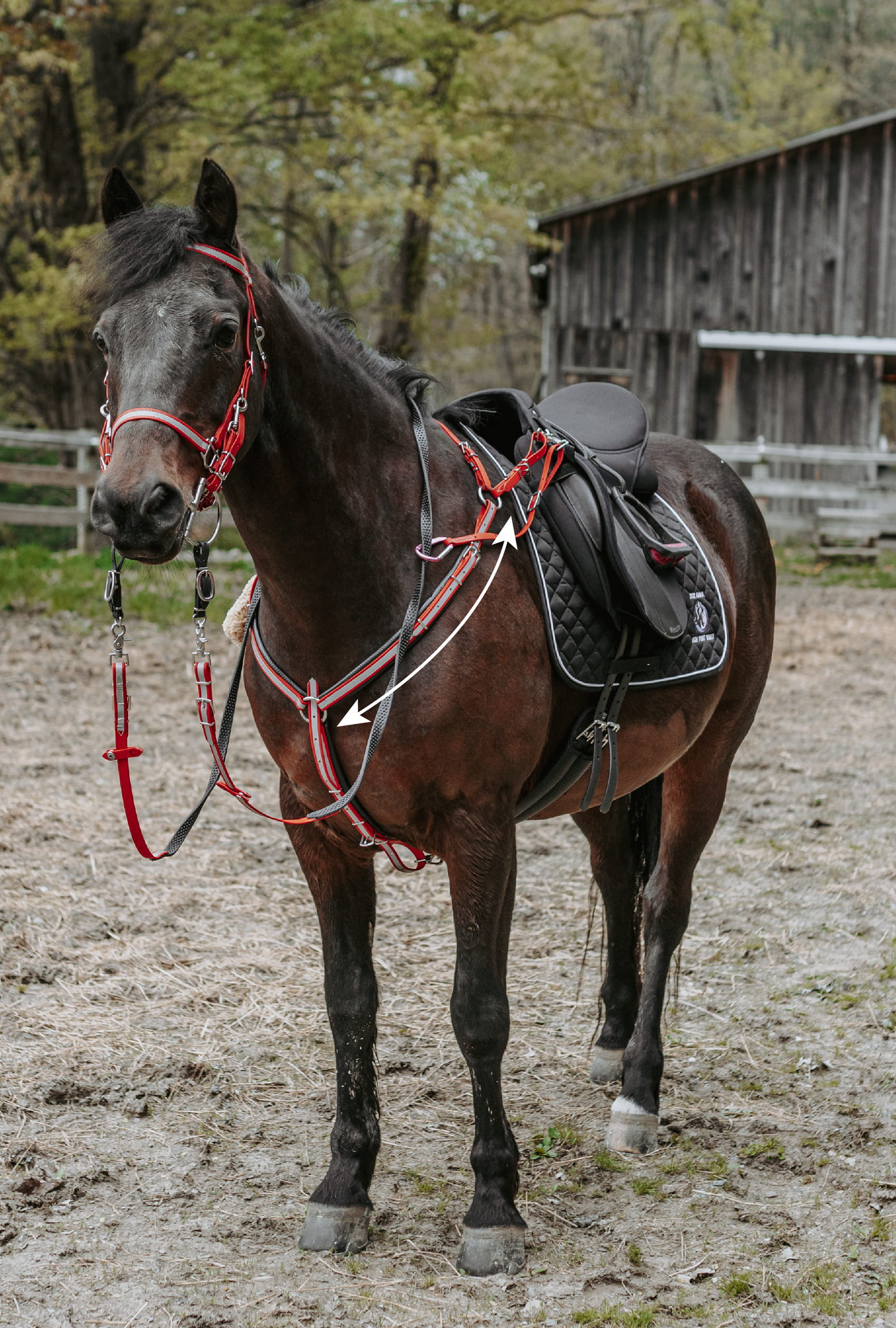 A brown horse with a saddle and bridle is standing in a dirt field.