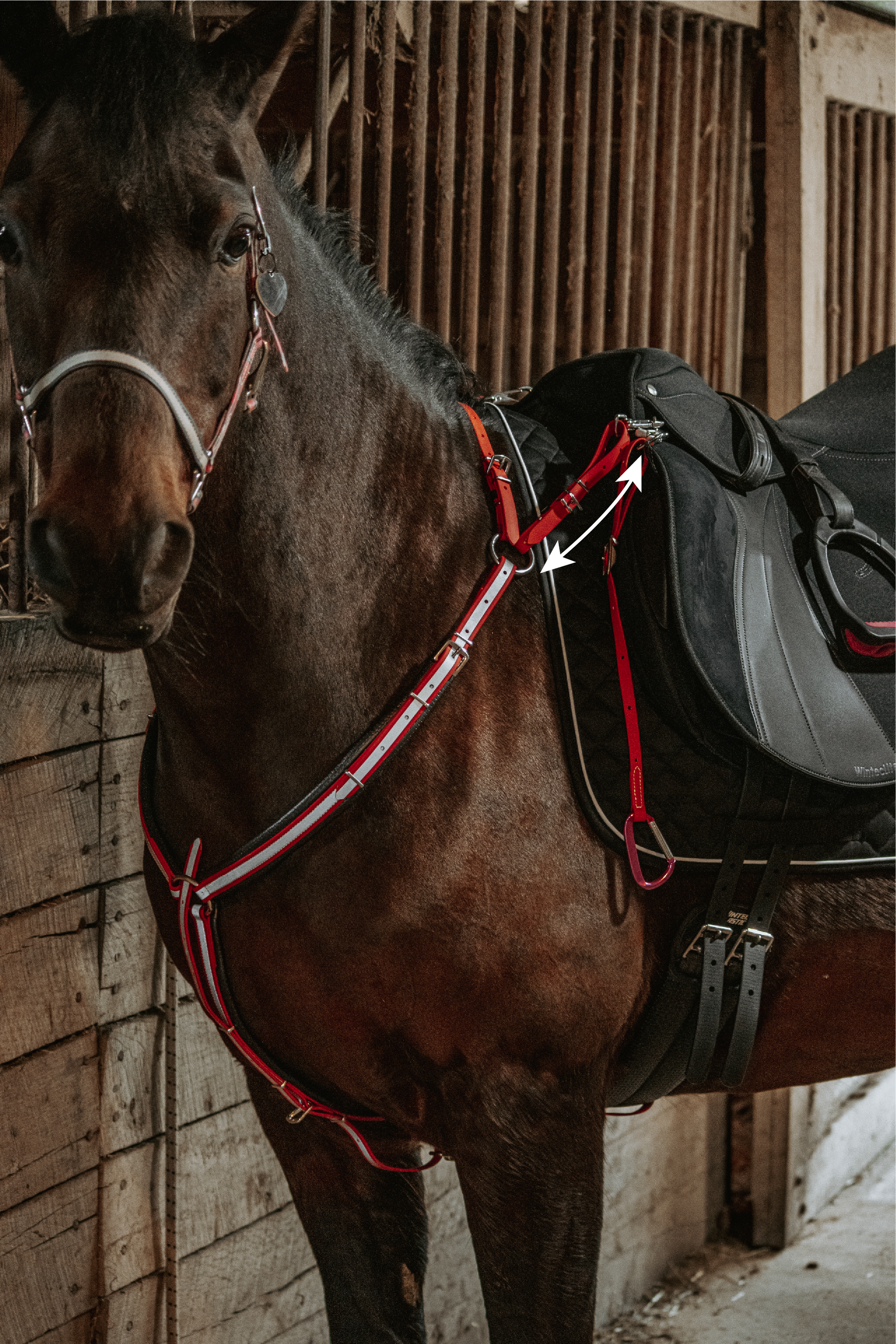 A brown horse with a black saddle is standing in a stable.