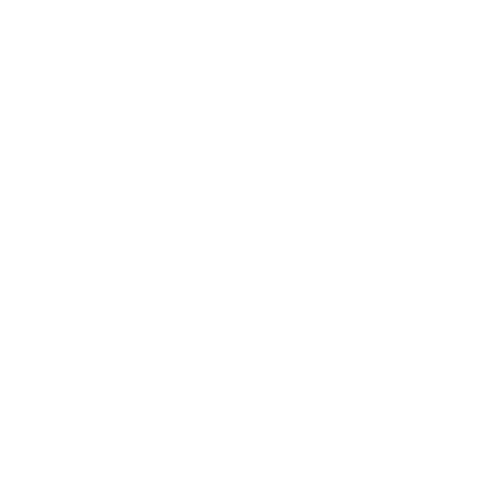 Equilizer Home Health Services logo