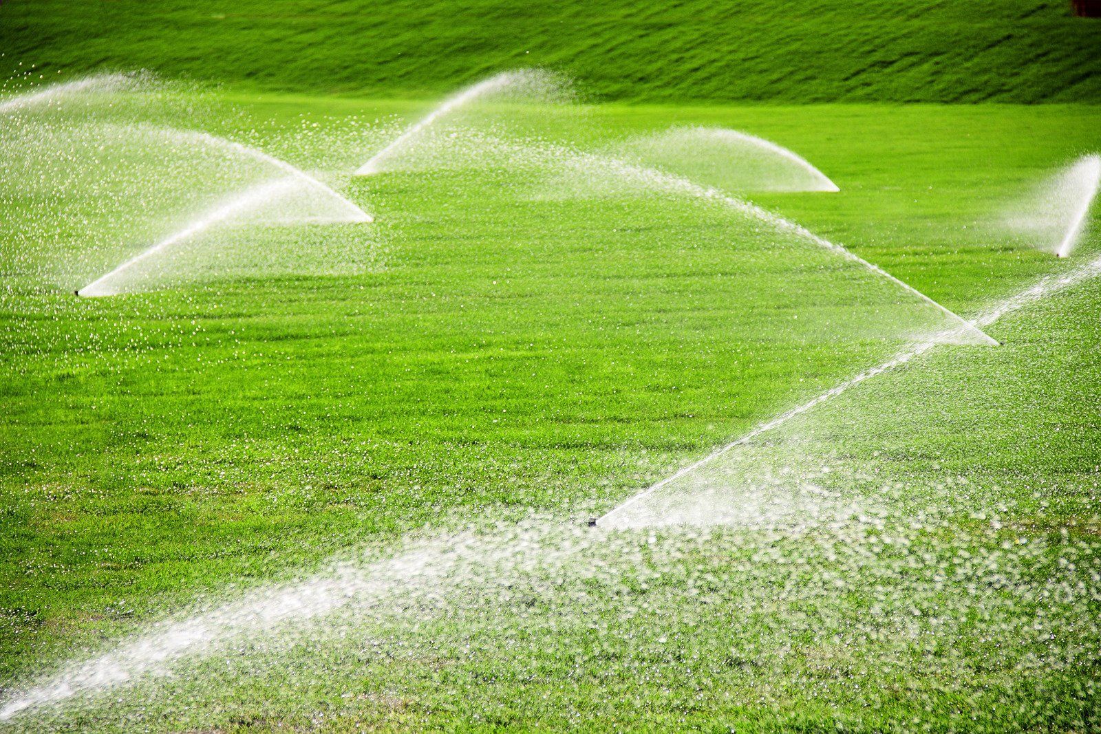 Sprinklers spraying water on a green grassy field, creating arcs of water.