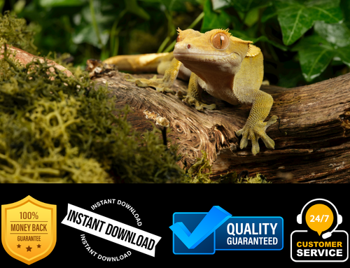 crested gecko morph ebooks