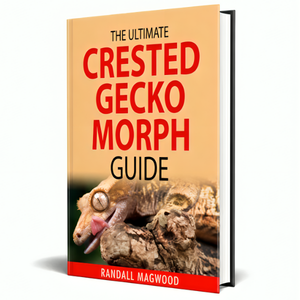 The Ultimate Crested Gecko Morph Guide