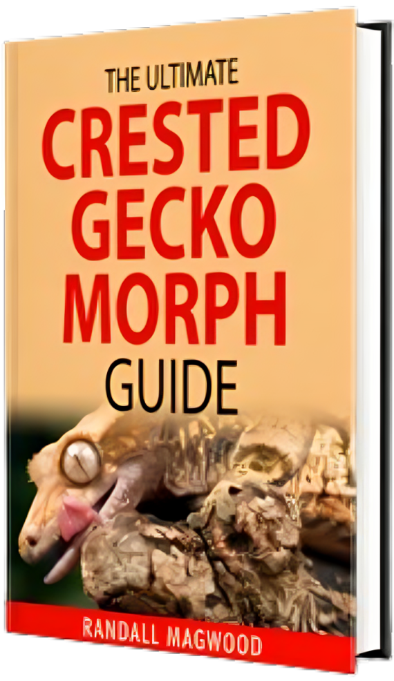 The Ultimate Crested Gecko Morph Guide The Ultimate Crested Gecko Morph Guide