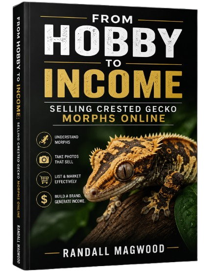 from hobby to income: selling crested gecko morphs online