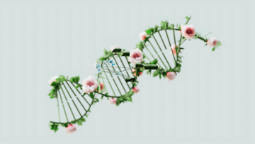 identification and genetics