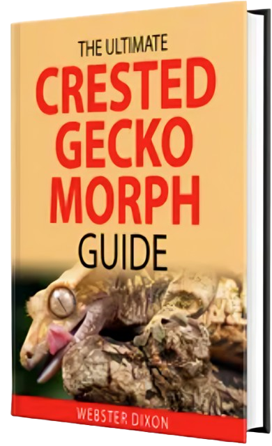 the ultimate crested gecko morph guide