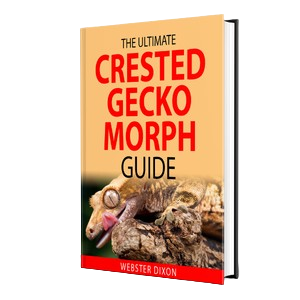 the ultimate crested gecko morph guide