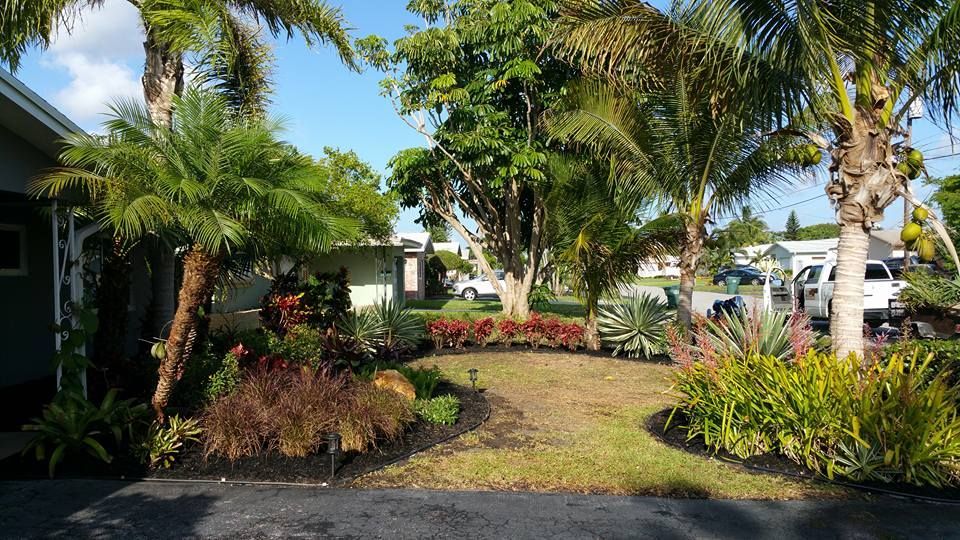 A driveway leading to a house surrounded by trees and bushes.