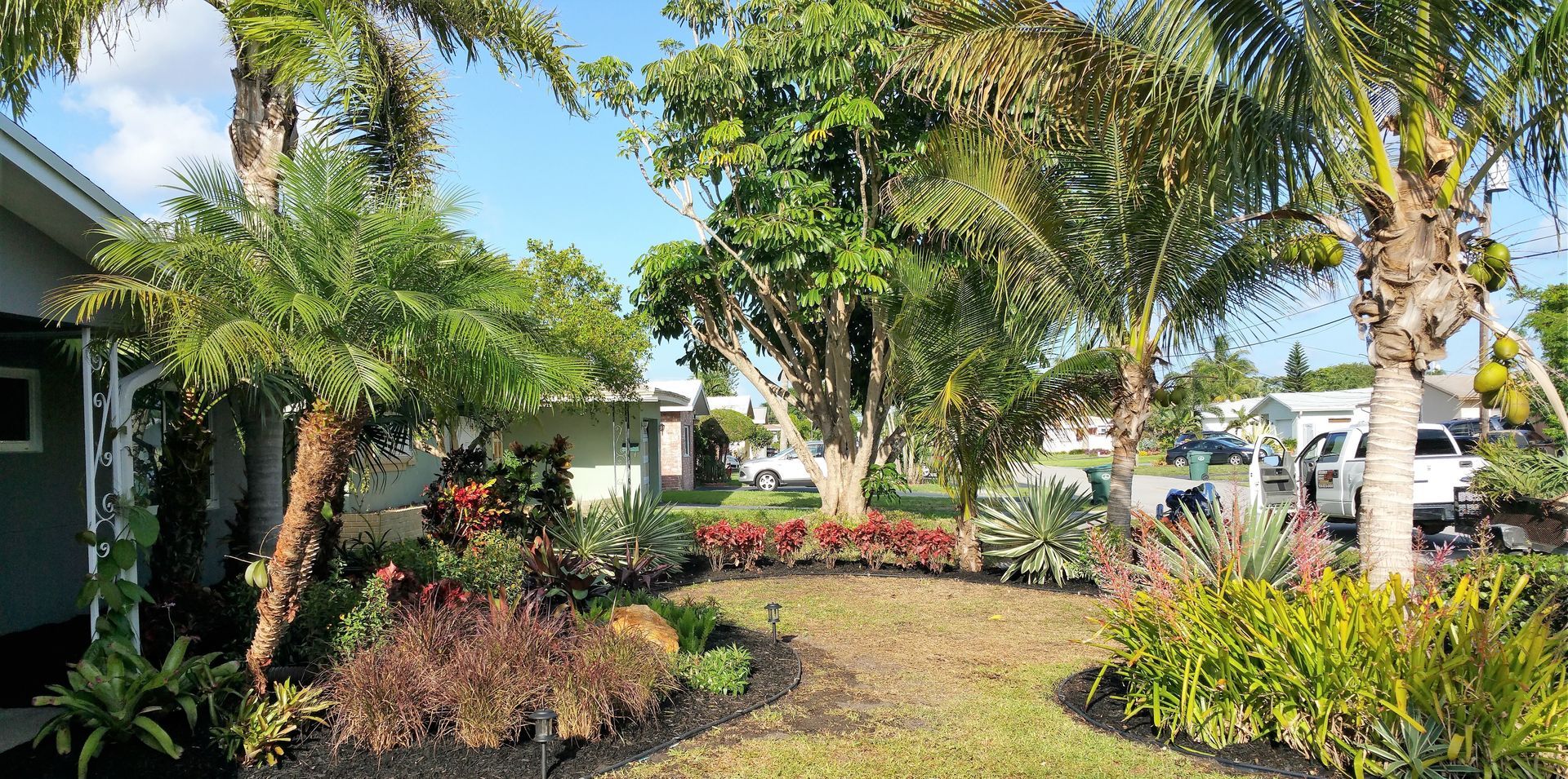 A lush green yard with trees and bushes in front of a house.