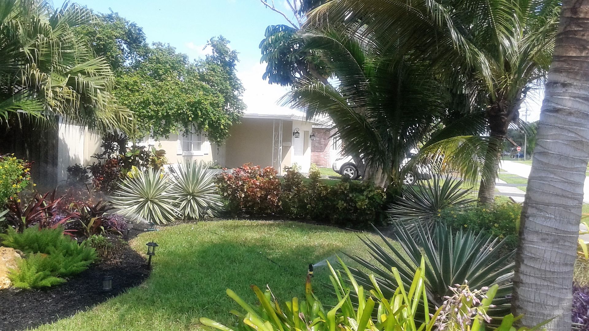 A lush green garden with a house in the background