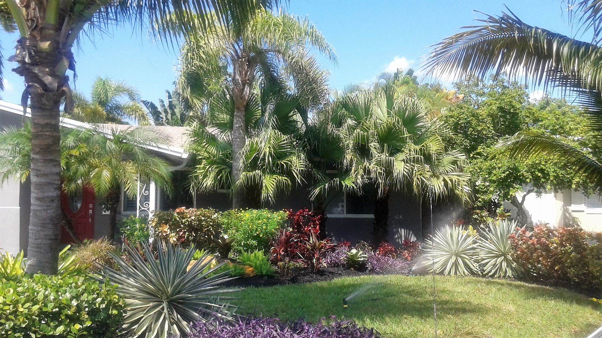A house with palm trees in front of it