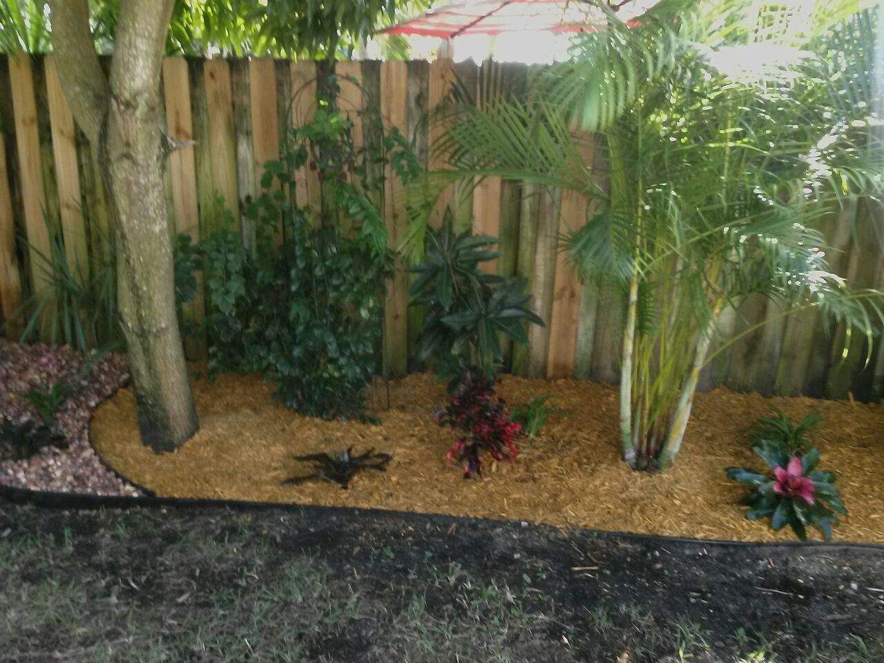 A garden with plants and a wooden fence in the background.