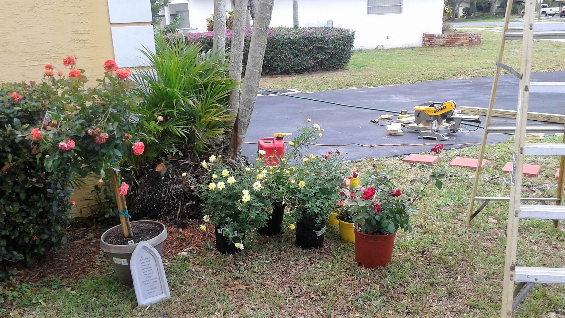 A bunch of potted plants are sitting in the grass in front of a house.