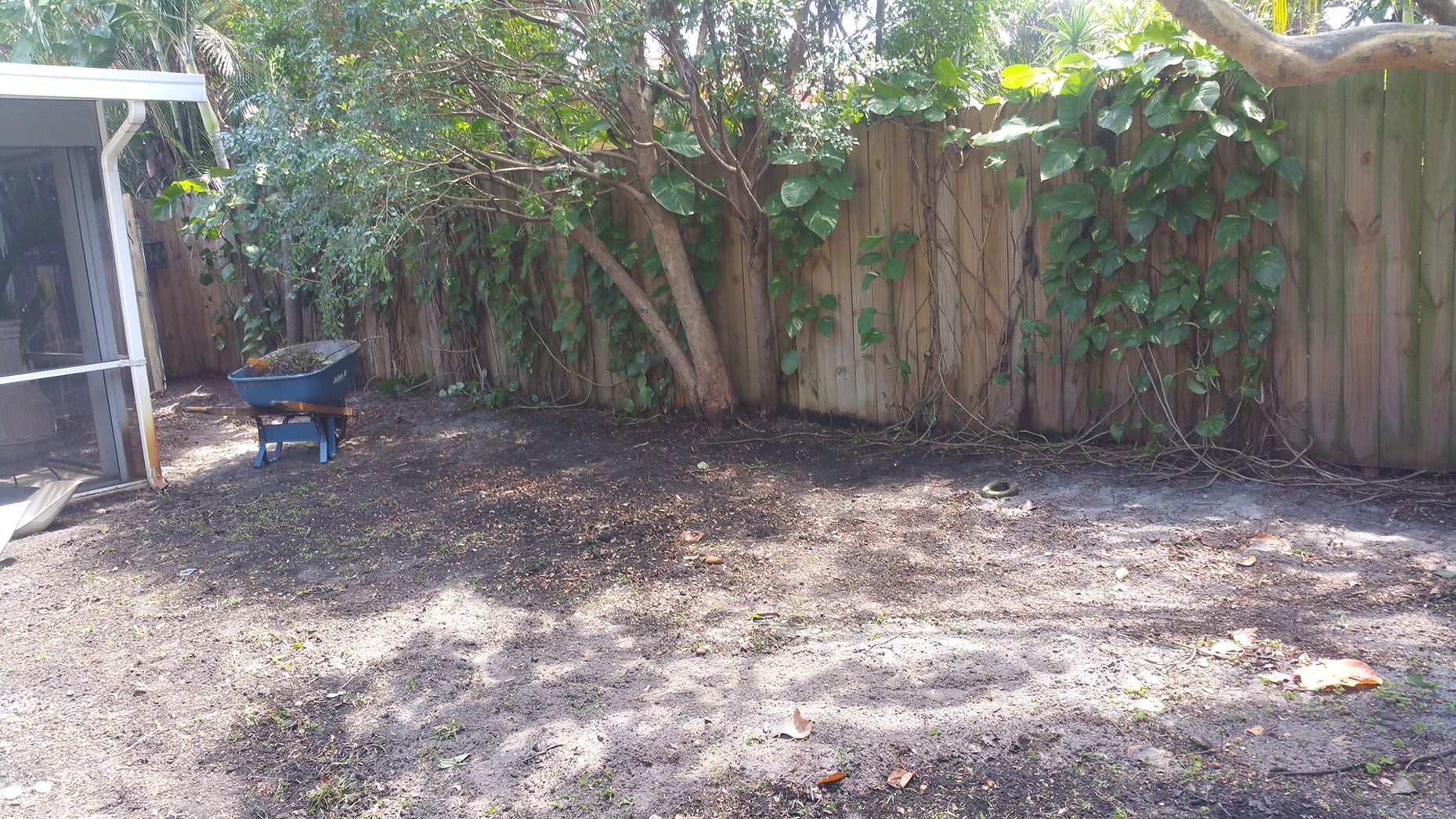 There is a wheelbarrow in the middle of the backyard.