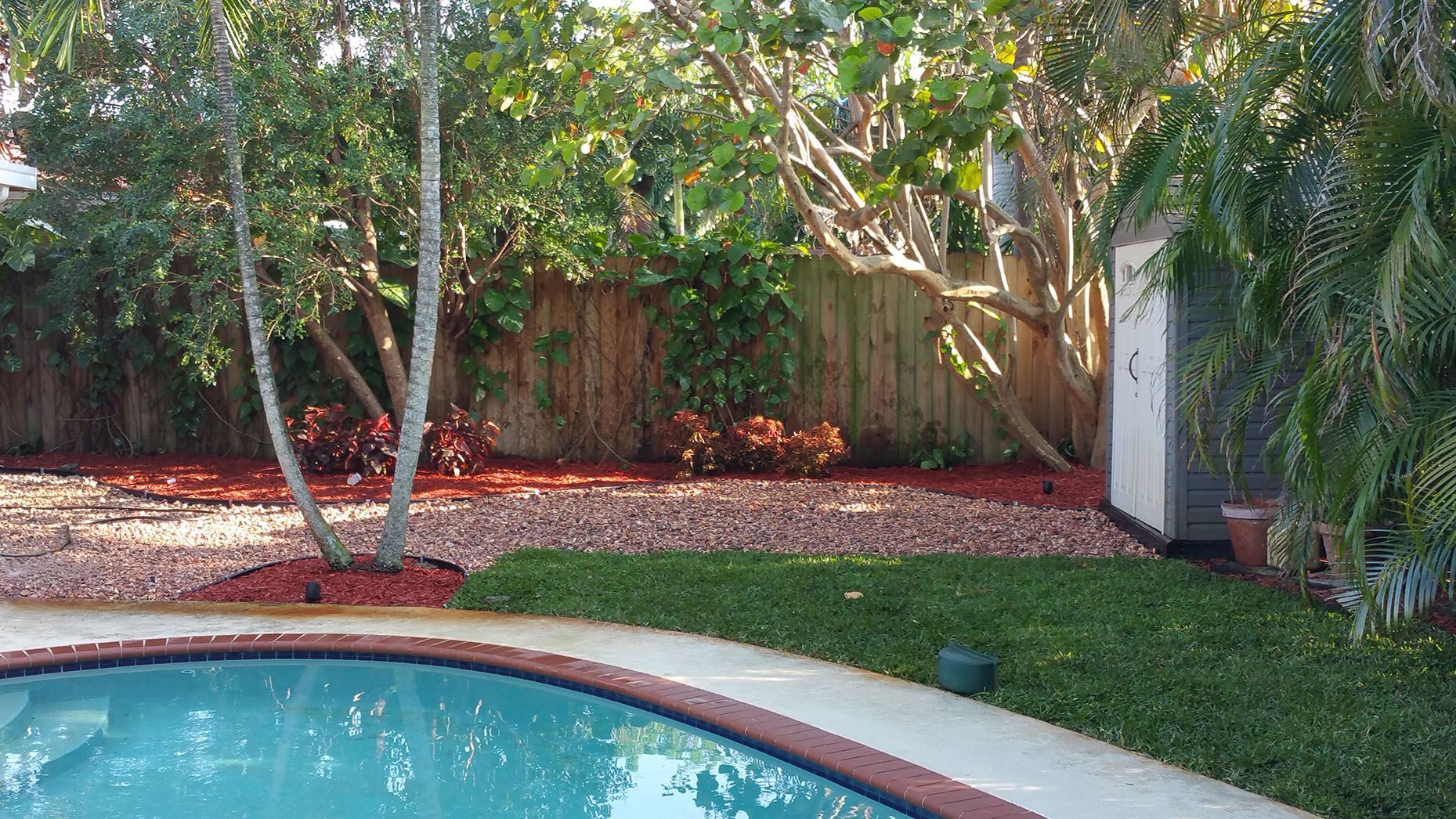 A large swimming pool in the backyard of a house surrounded by trees.