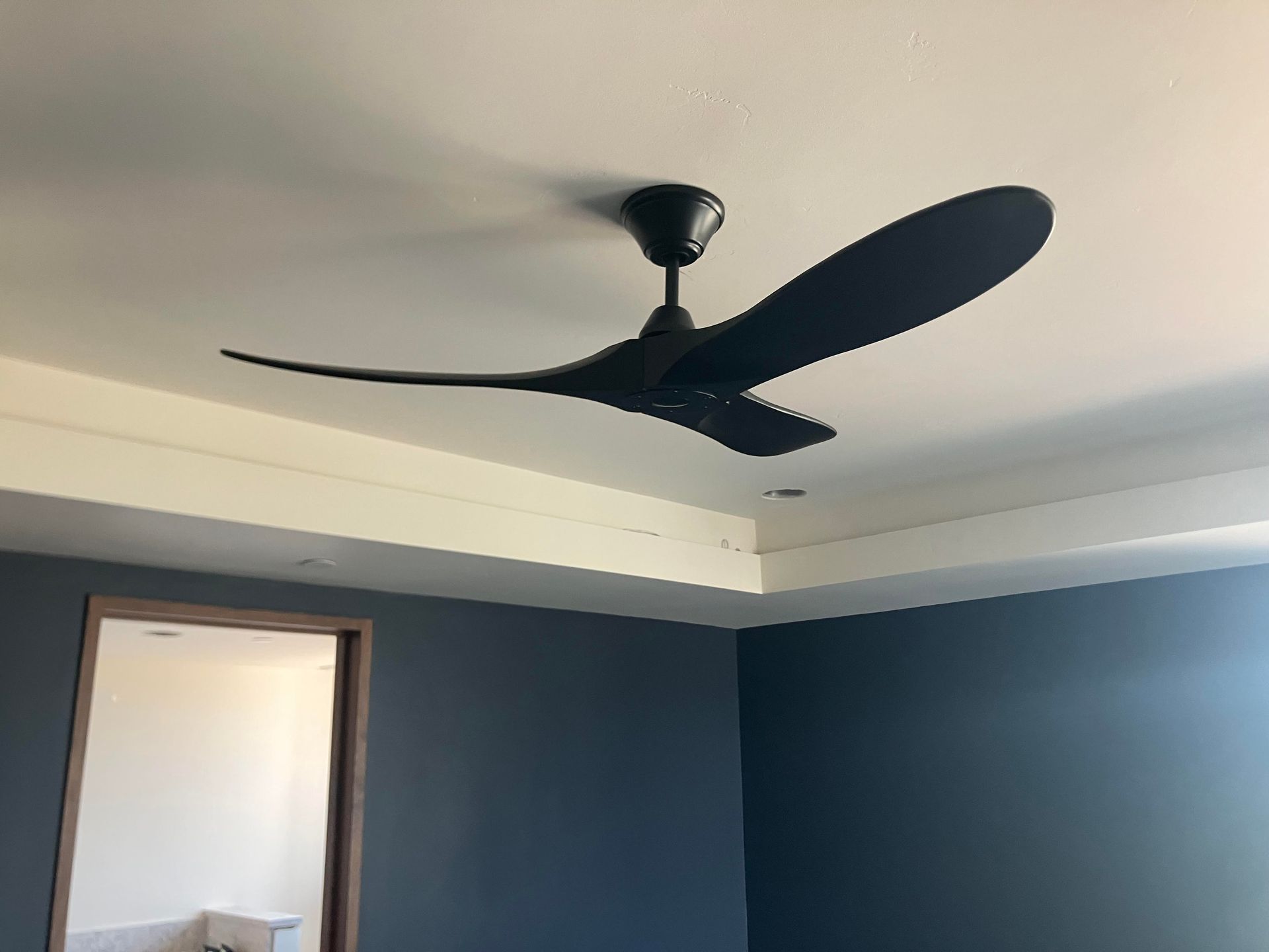 Black ceiling fan with curved blades on a white ceiling; blue walls.