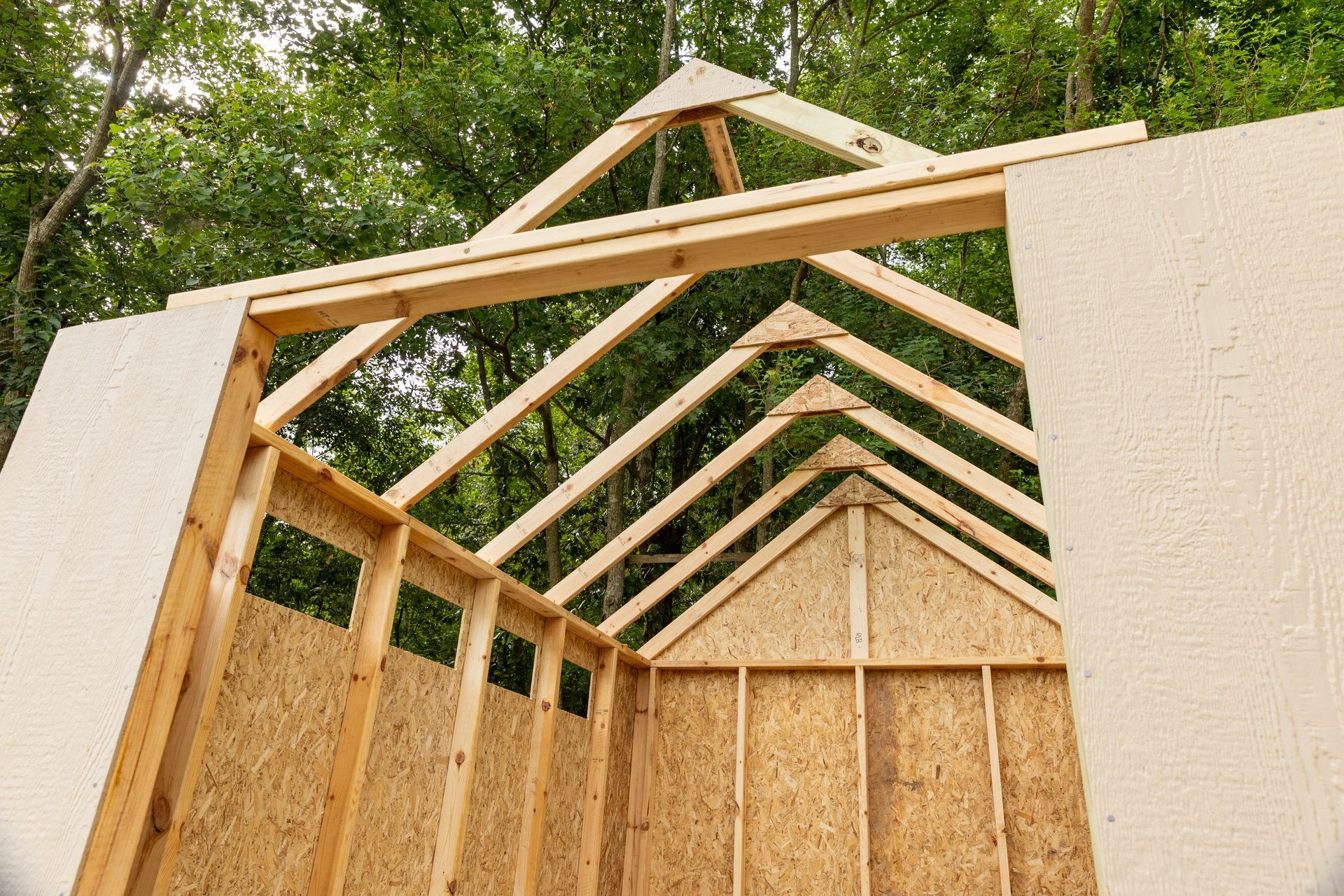 A storage shed being built in a backyard. Green foliage is around it.