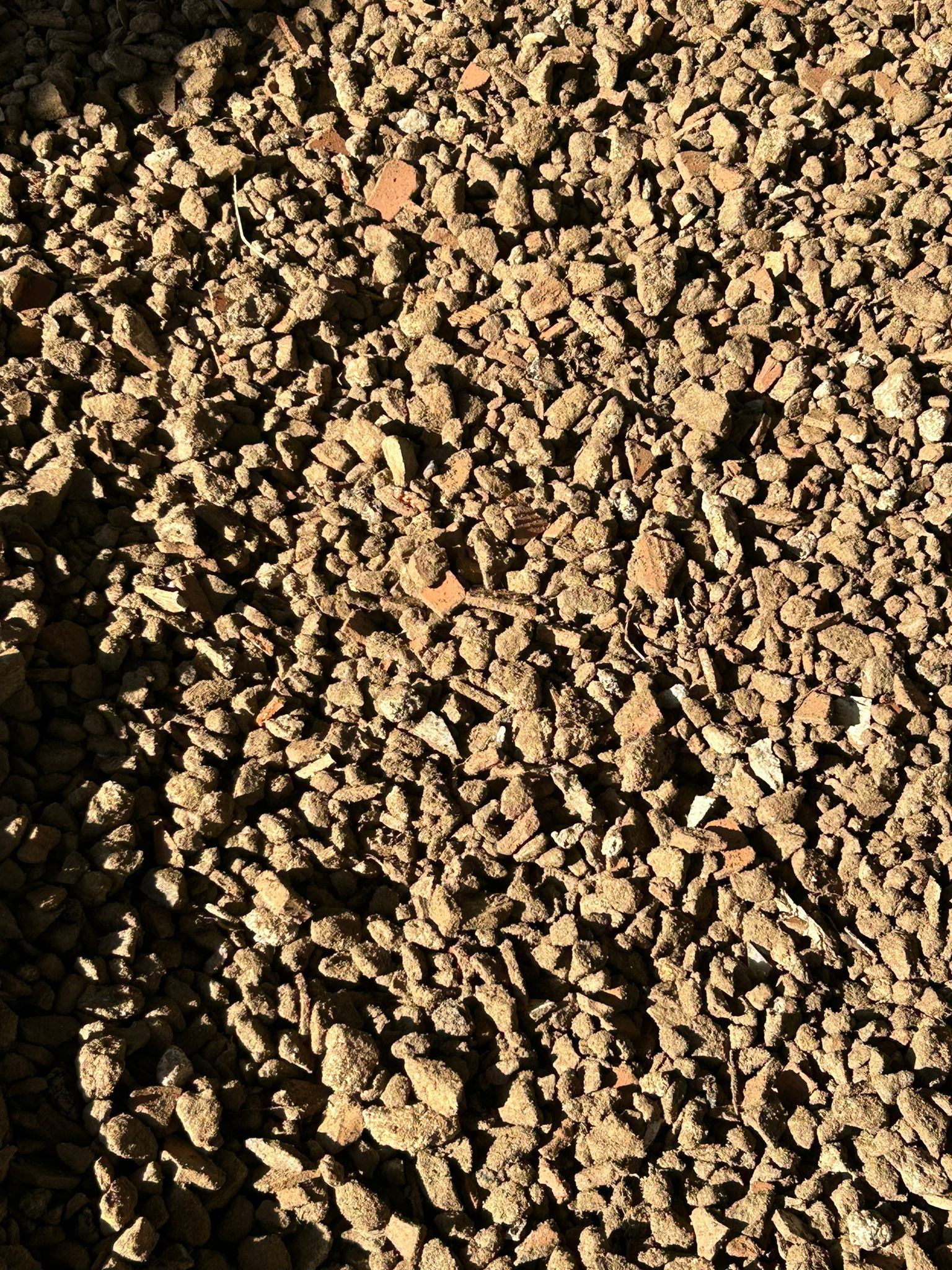 ecologica green srls