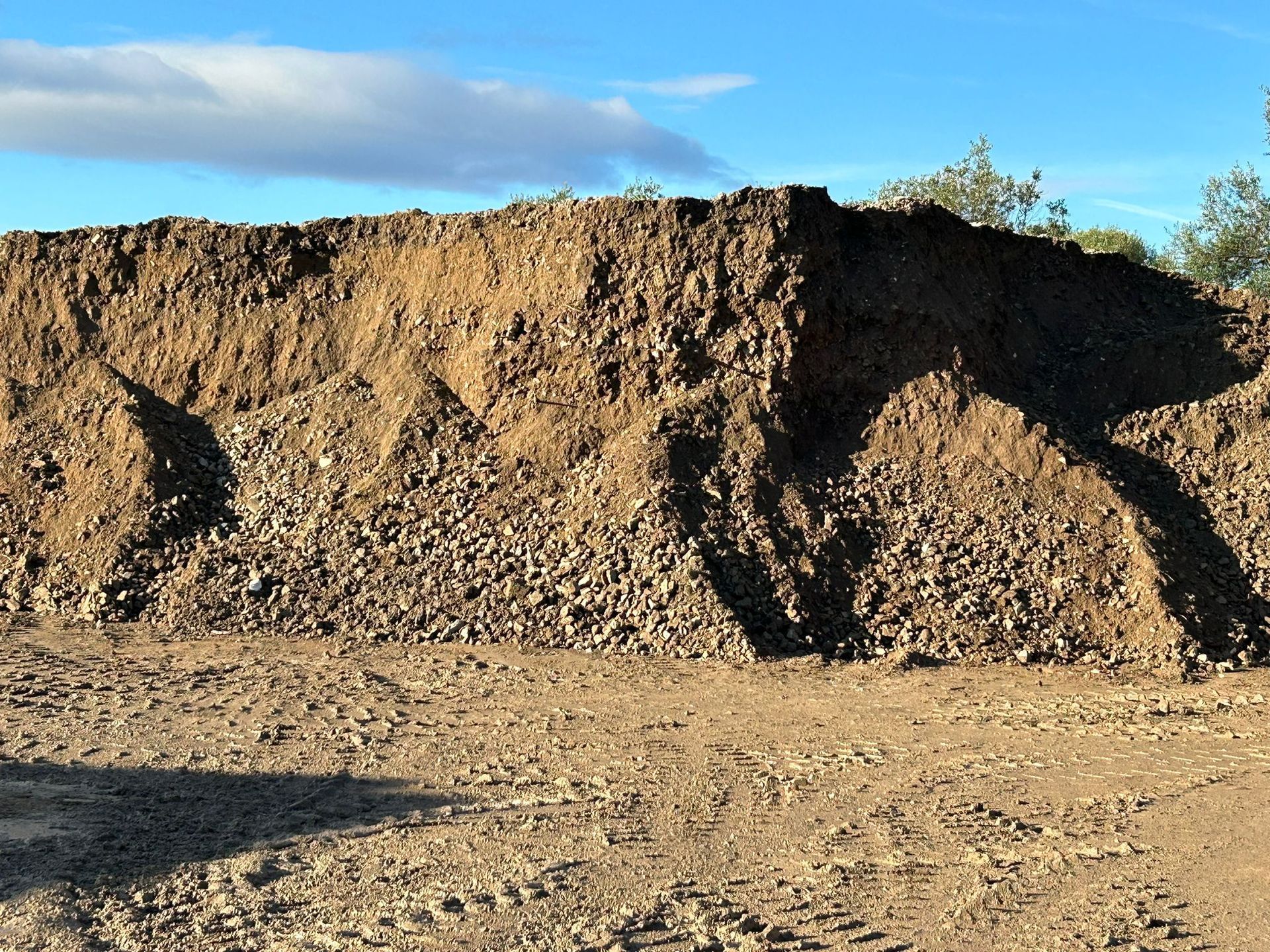 ecologica green srls