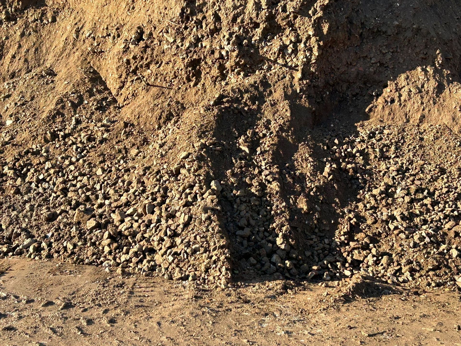 professionalita e competenza tecnica