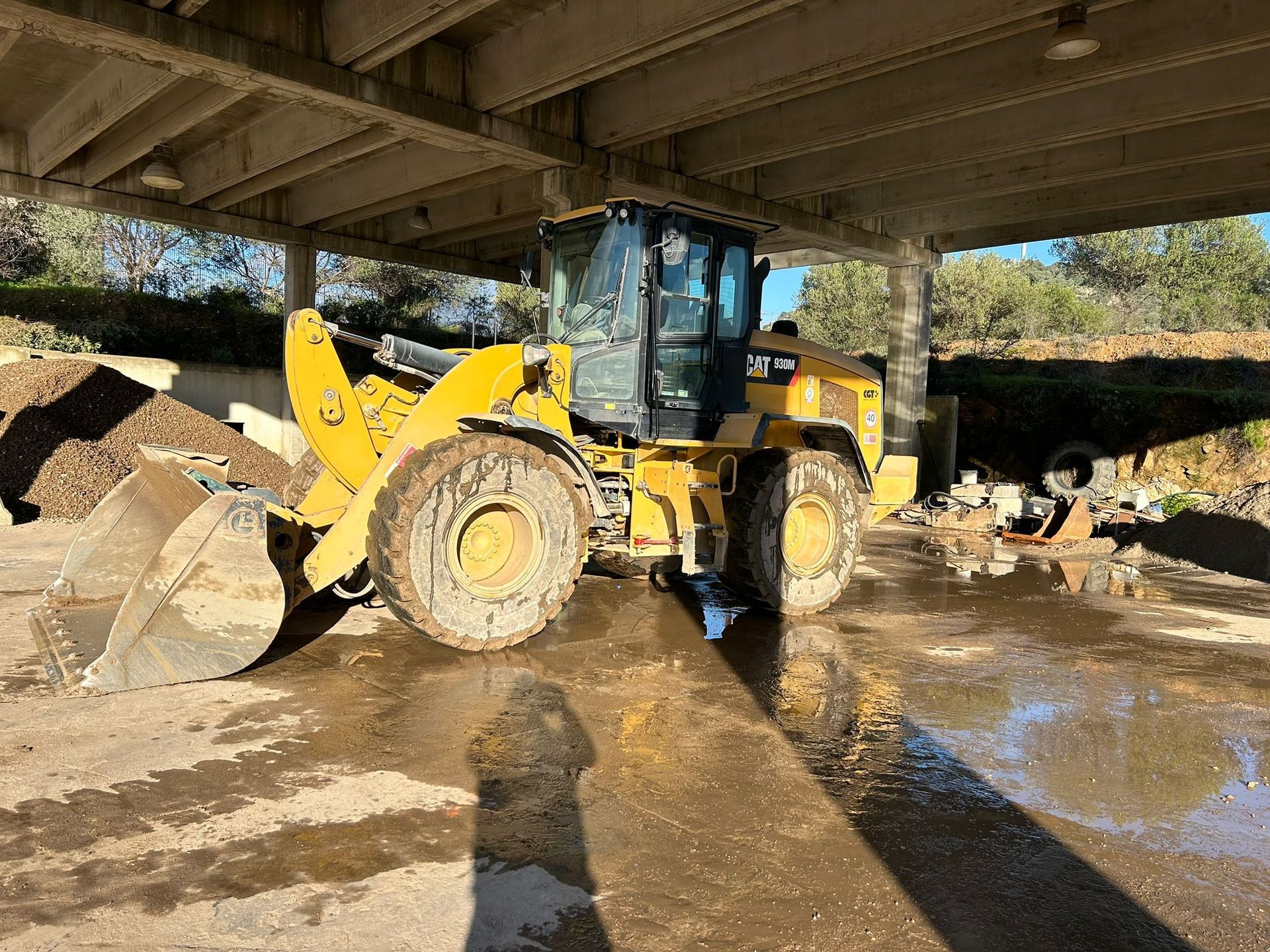professionalita e competenza tecnica