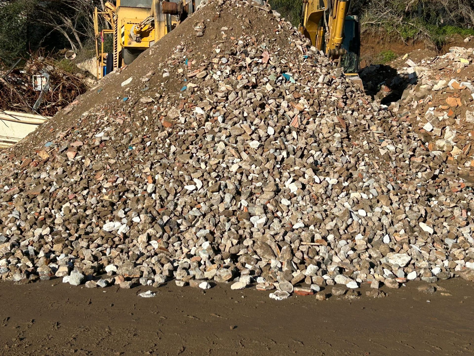 ecologica green srls