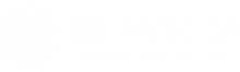 SteynIP Logo