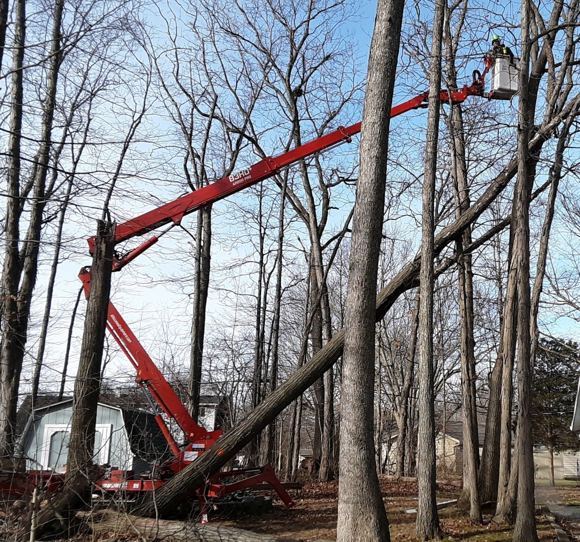 Tree loper using chainsaw — Fort Wayne, IN — Mudrack Tree