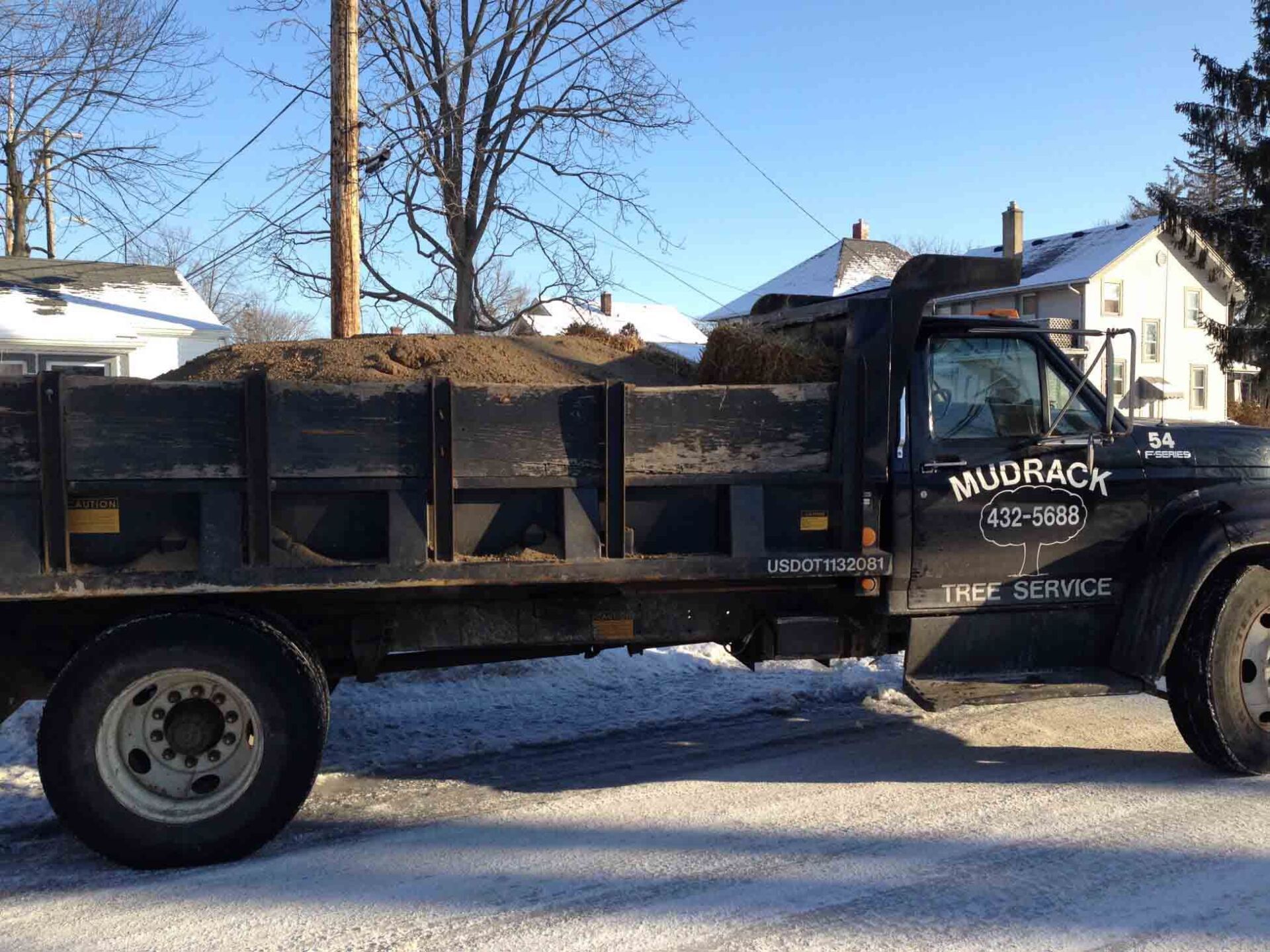 Mudrack's truck — Fort Wayne, IN — Mudrack Tree