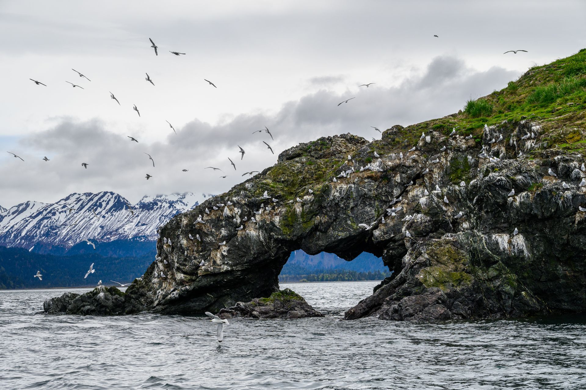 Things To Do in Homer, Alaska - Paradise Suites