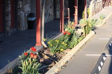 A sidewalk with flowers and a trash can on it