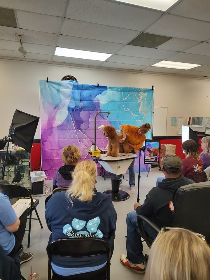 Groomer demonstrating on a dog in a workshop setting. Audience watches, backdrop of colorful fabric.