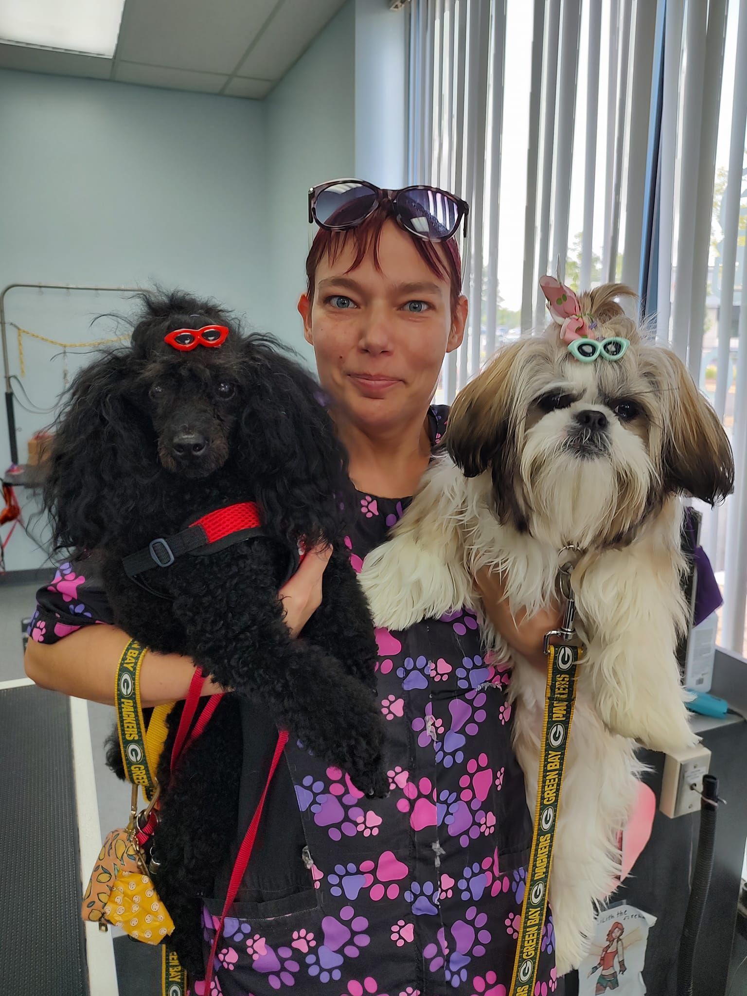 Woman holding a black poodle and a Shih Tzu. All three have colorful accessories. Indoors, near a window.